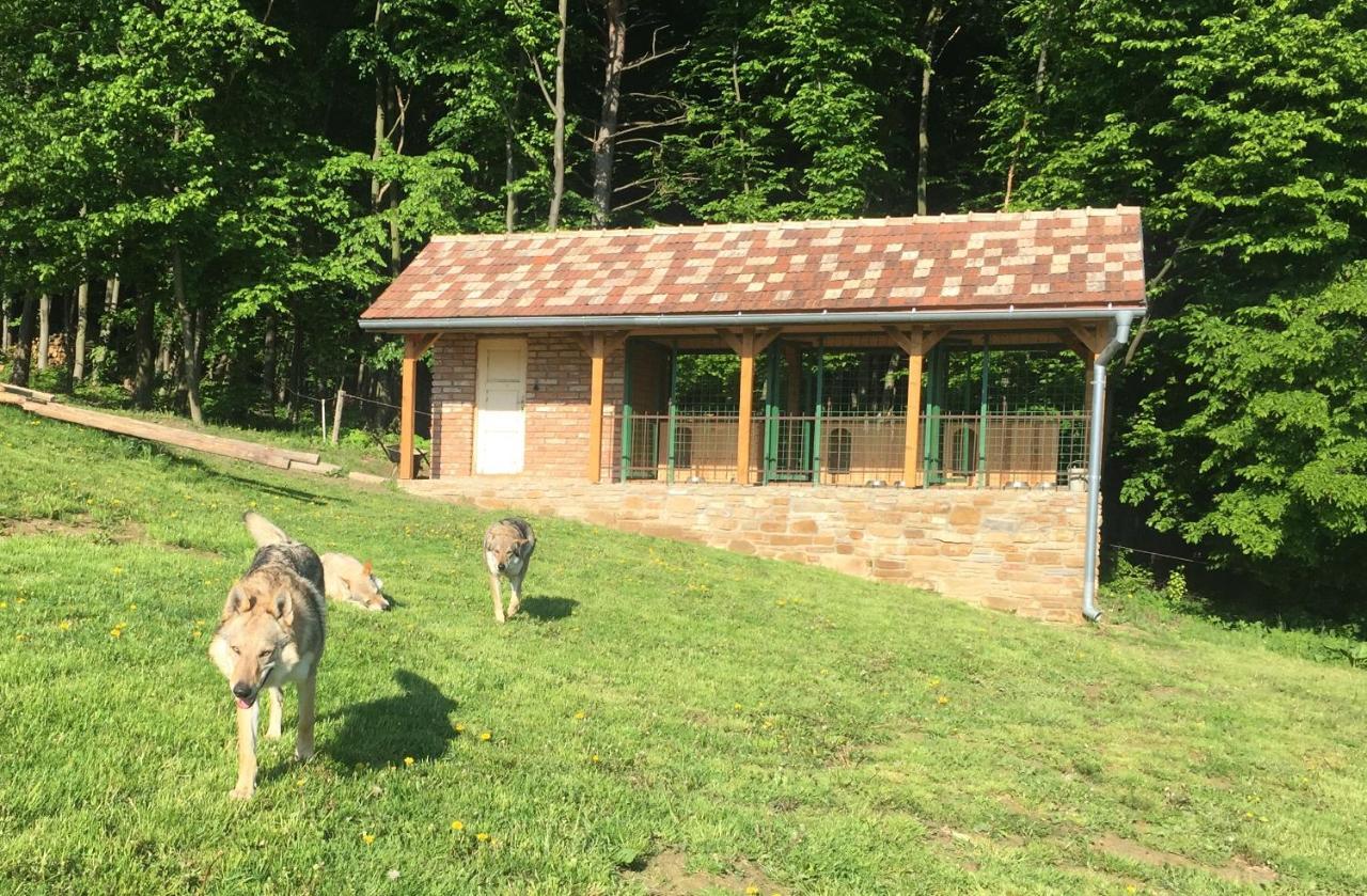 Chata Koniaren Villa Pavlovce Bagian luar foto