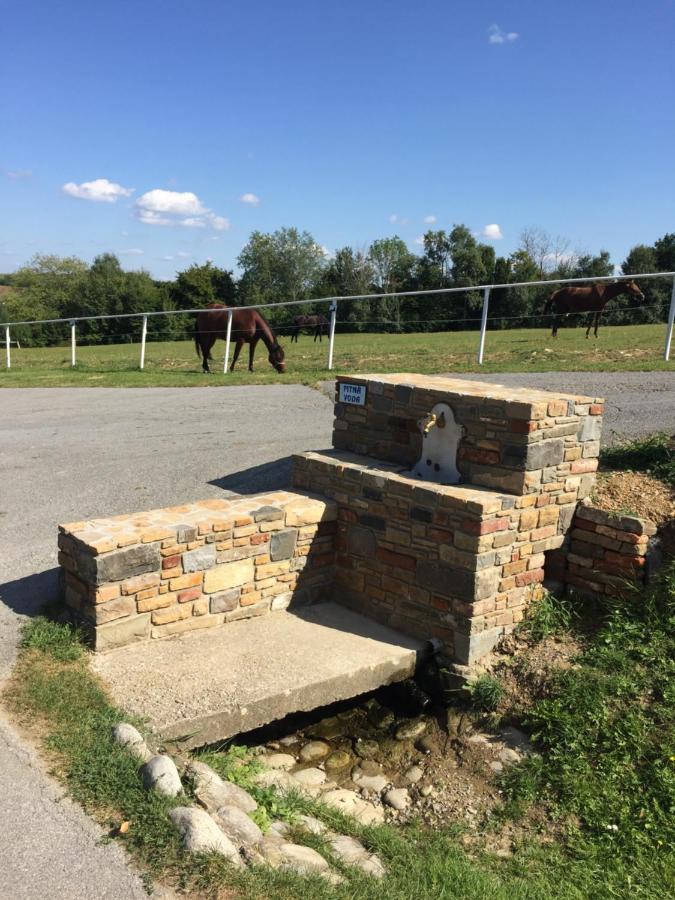 Chata Koniaren Villa Pavlovce Bagian luar foto